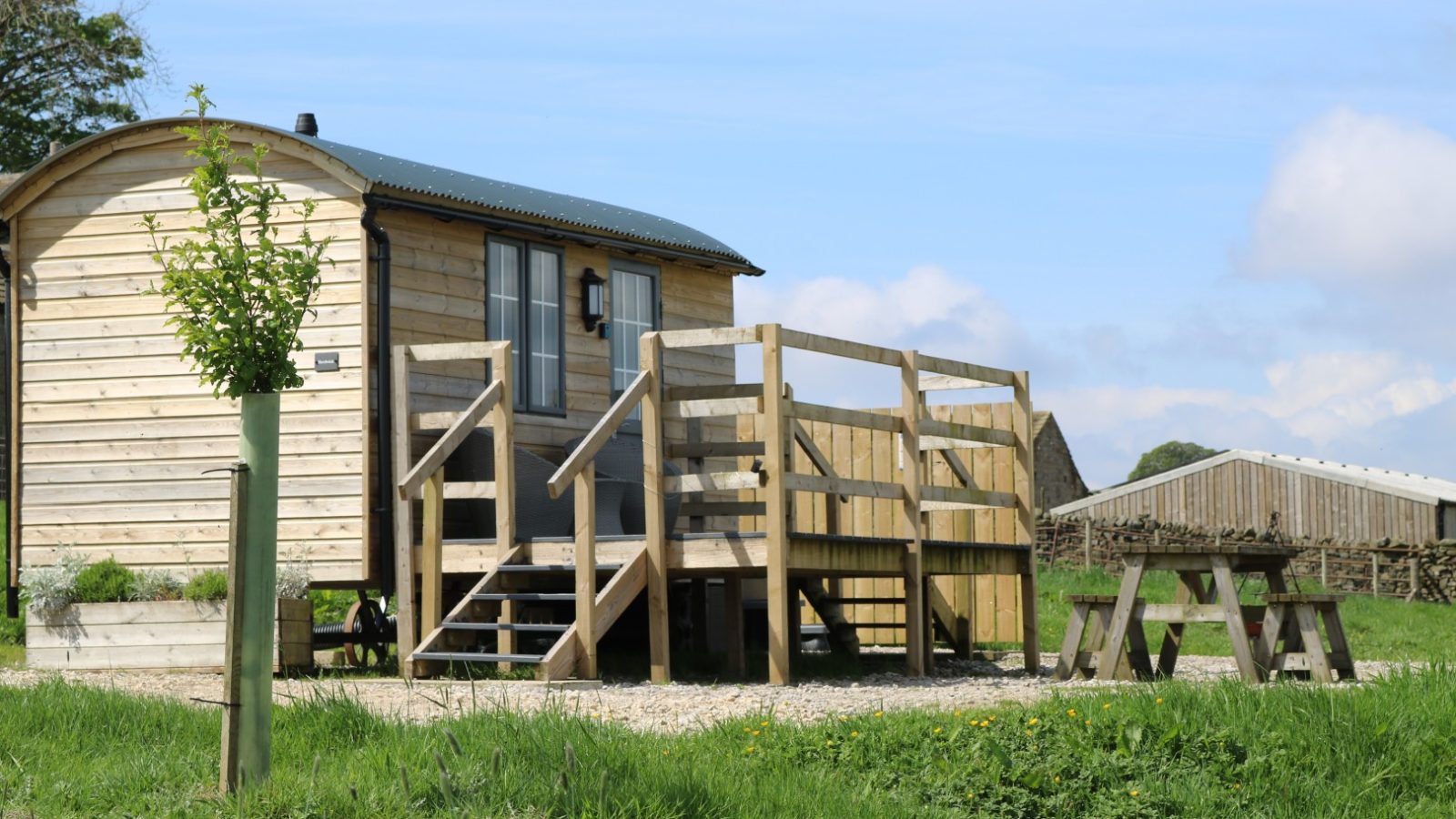 Charming wooden cabin with a raised deck at Breaks Fold Farm, nestled beside a young tree and picnic table under a clear sky.