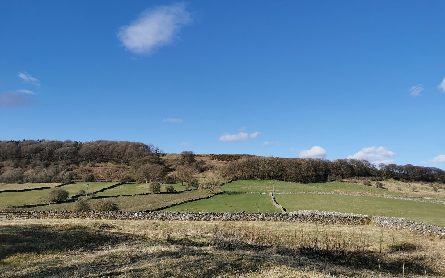 Derbyshire Hills Shepherd’s Hut