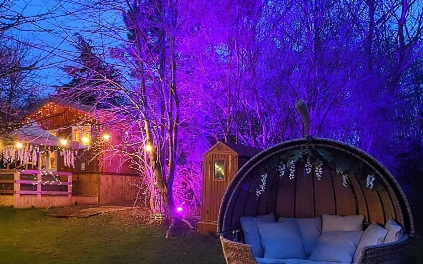 A cozy outdoor hideaway with a wicker pod chair is illuminated by purple and yellow lights amidst hawthorn trees at dusk.