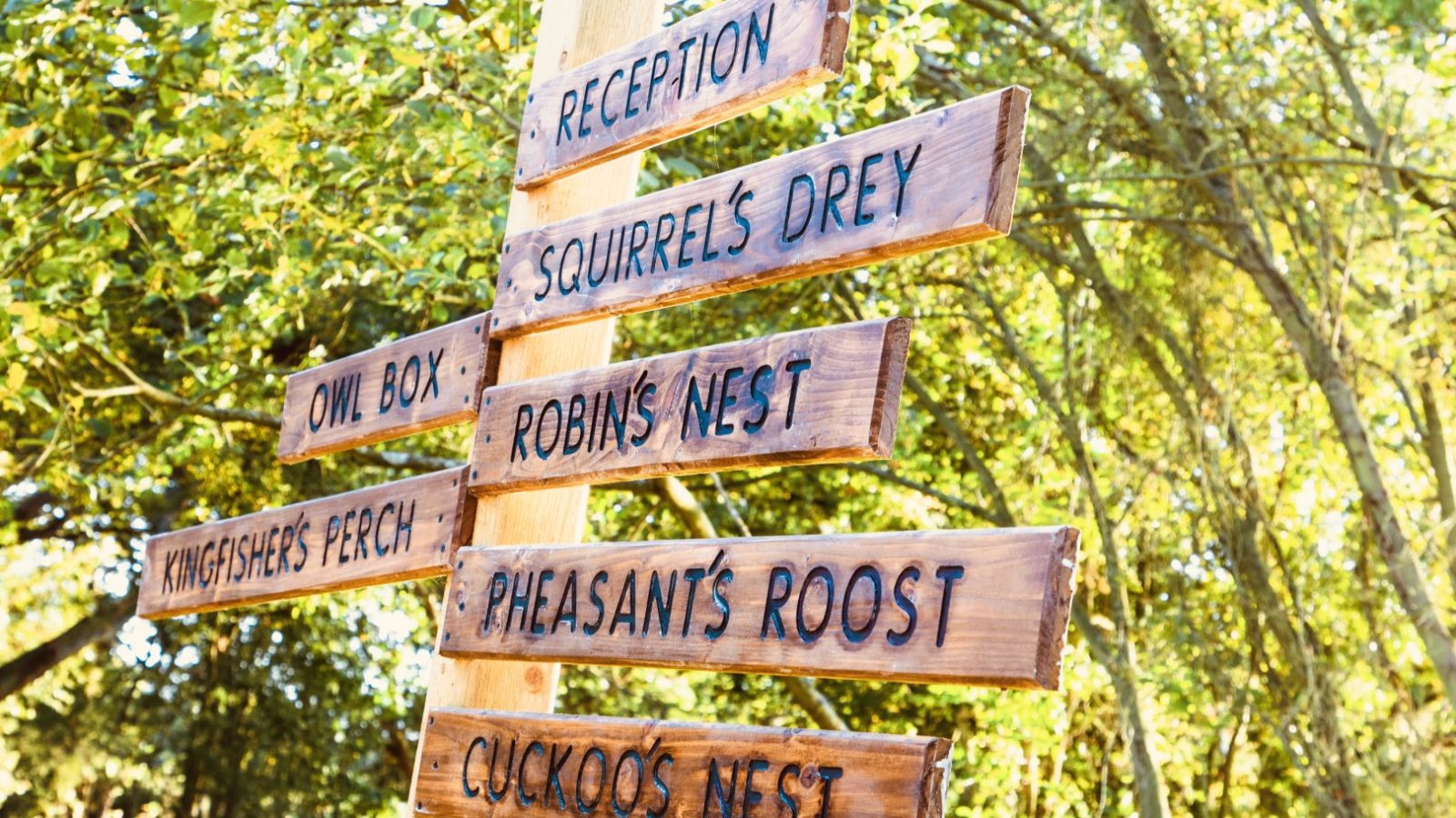 Wooden signpost in a forest setting, guiding to 