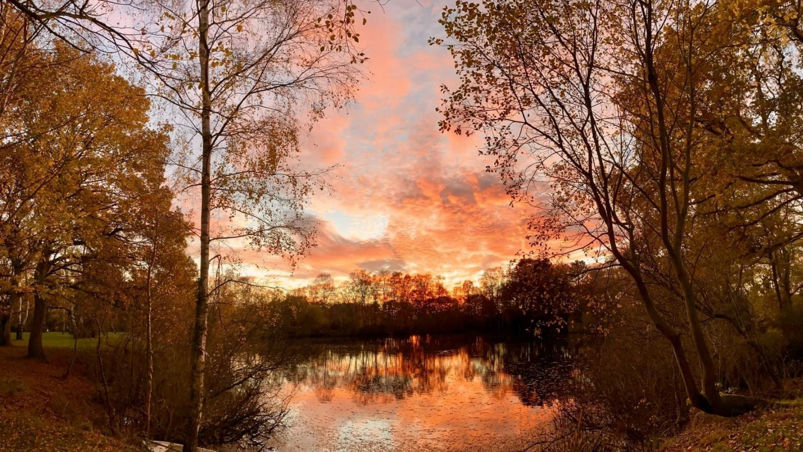 Sunset over a serene lake near Treetop Hideaway reflects vibrant orange and pink hues in the sky and water.