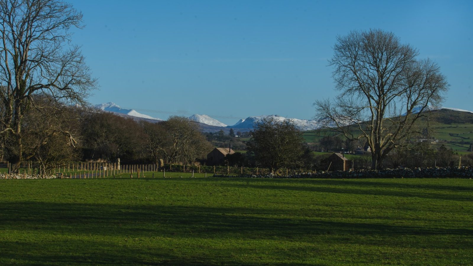 A green field with scattered trees, distant snow-capped mountains, and a clear blue sky in the background.