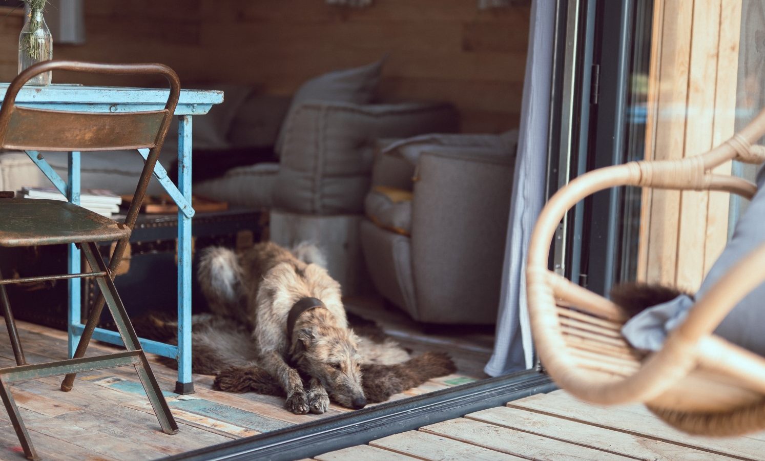 Dog resting on a rug in Carn at Frith Meadow's cozy wooden interior, with blue table, chair, and wicker furniture by a sliding door.