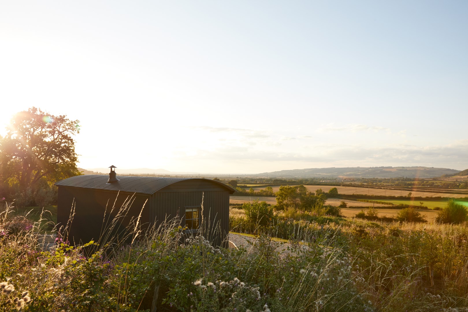 A romantic shed in a grassy field, perfect for romantic dog-friendly breaks, with a tree and hills under a sunset sky.