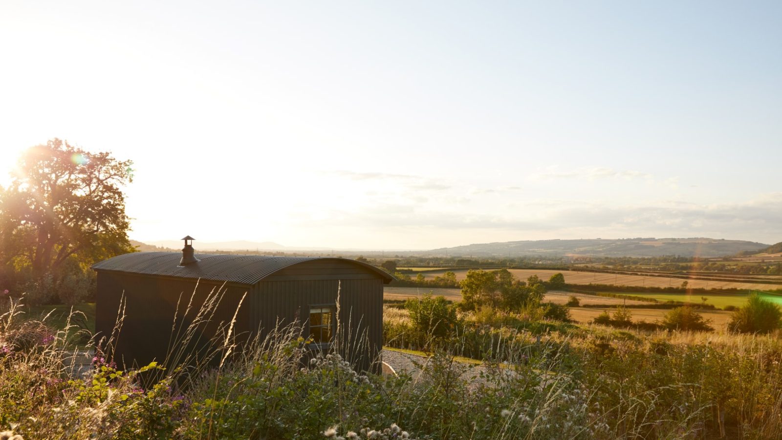 Small dark cabin in a rural field with wild grasses, set against a distant landscape and low sun creating a warm glow.