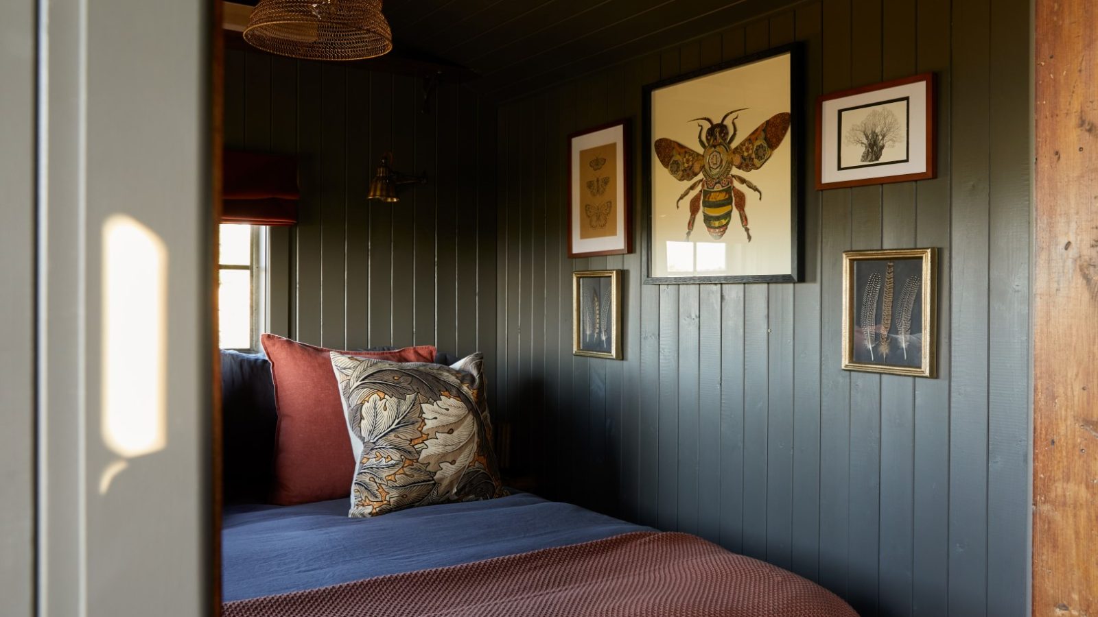 Cozy bedroom with dark green wood-paneled walls, a bed with pillows, and framed insect and nature artwork on the walls.