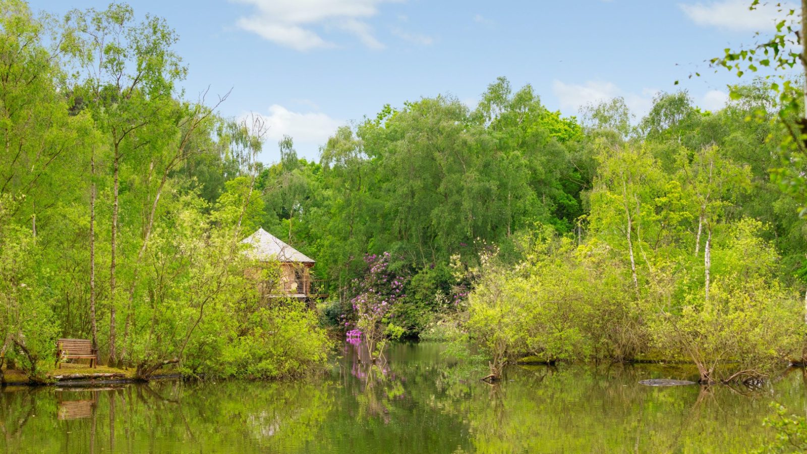 A tranquil lakeside scene featuring a small wooden cabin and bench, surrounded by lush green trees under the Treetop Hideaways sky.