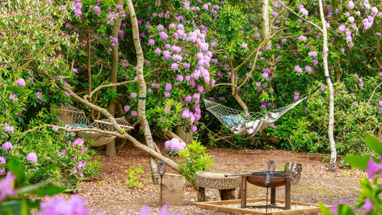 Treetop Hideaways: Two hammocks sway in a lush garden, purple blooms abound, with a cozy fire pit nestled below.