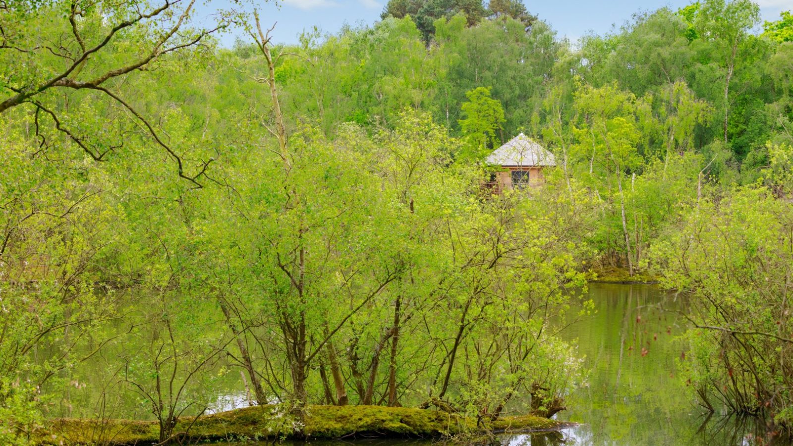 A small house with a white roof, like the Treetop Hideaways, is partially hidden by lush greenery near a still lake.