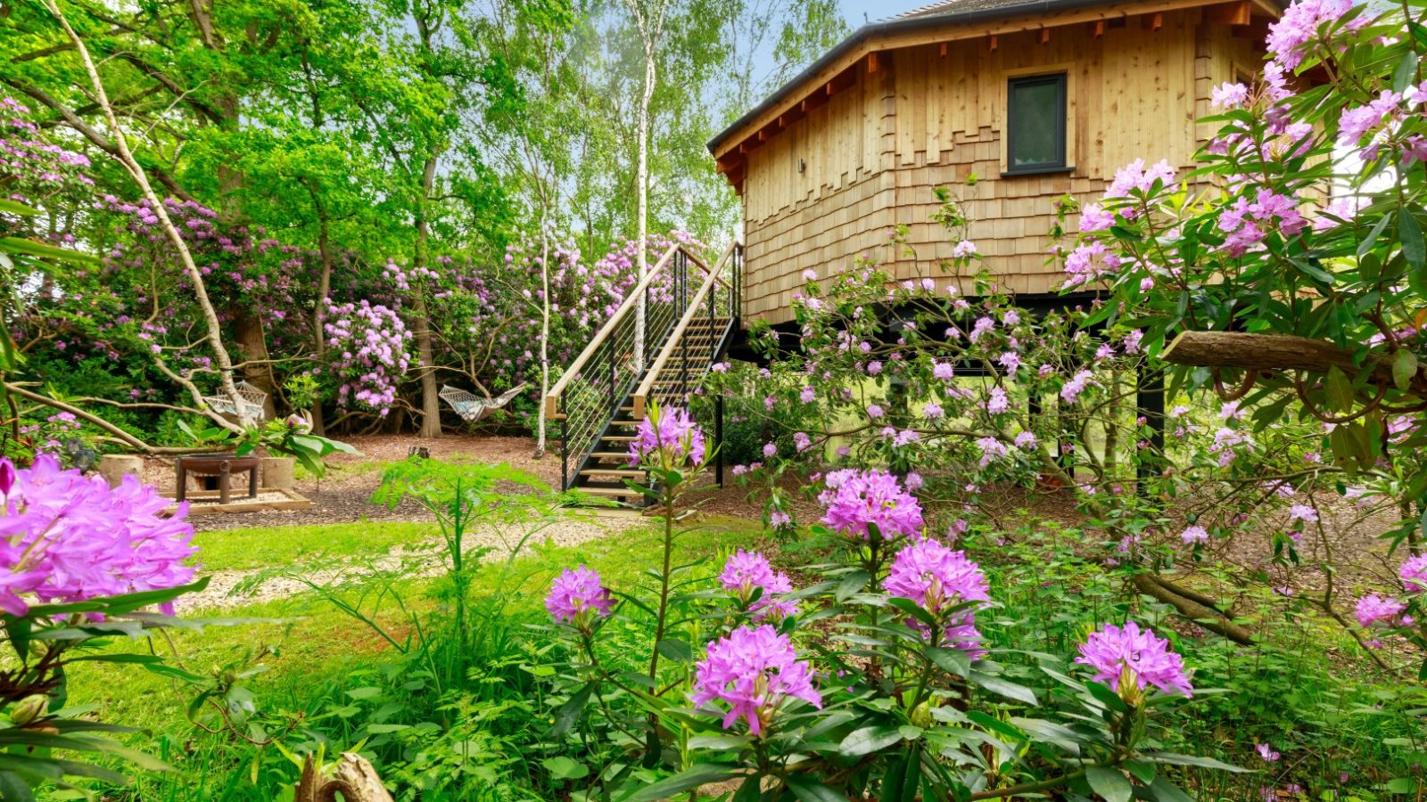 Treetop Hideaways: A wooden treehouse nestled in lush greenery and vibrant purple blooms under a clear sky.