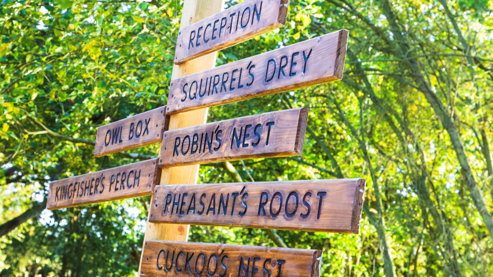 Wooden signpost in a park with multiple directional signs, including Reception, Treetop Hideaways, and Squirrel's Drey.