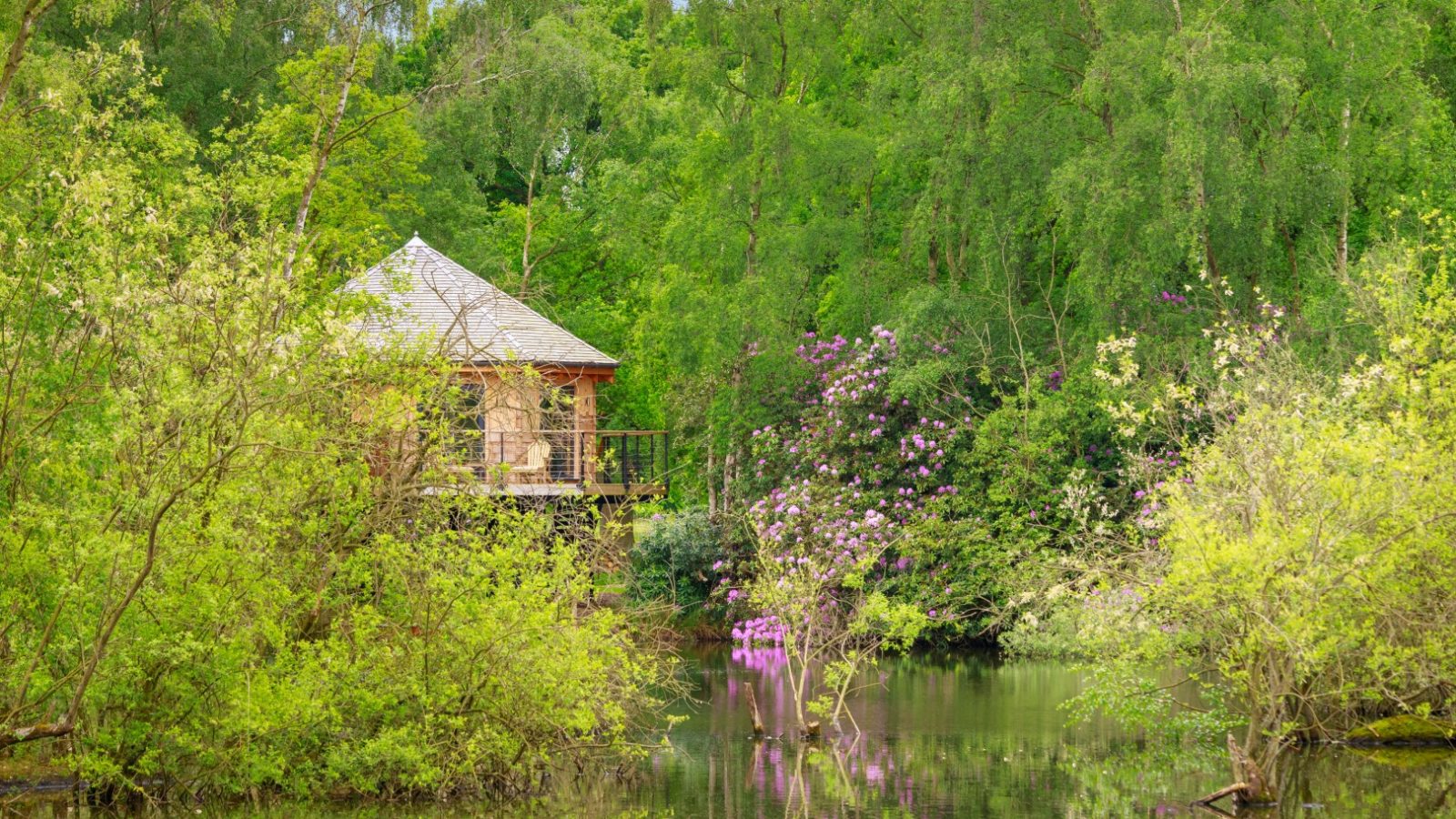 Treetop Hideaways: A wooden cabin by a lush lake, surrounded by trees and blooming flowers, with stunning reflections in the water.