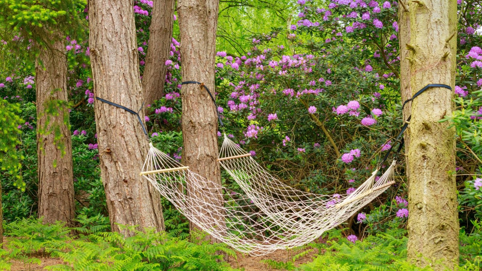 A white net hammock hangs between trees at Treetop Hideaways, surrounded by green foliage and purple flowering shrubs.