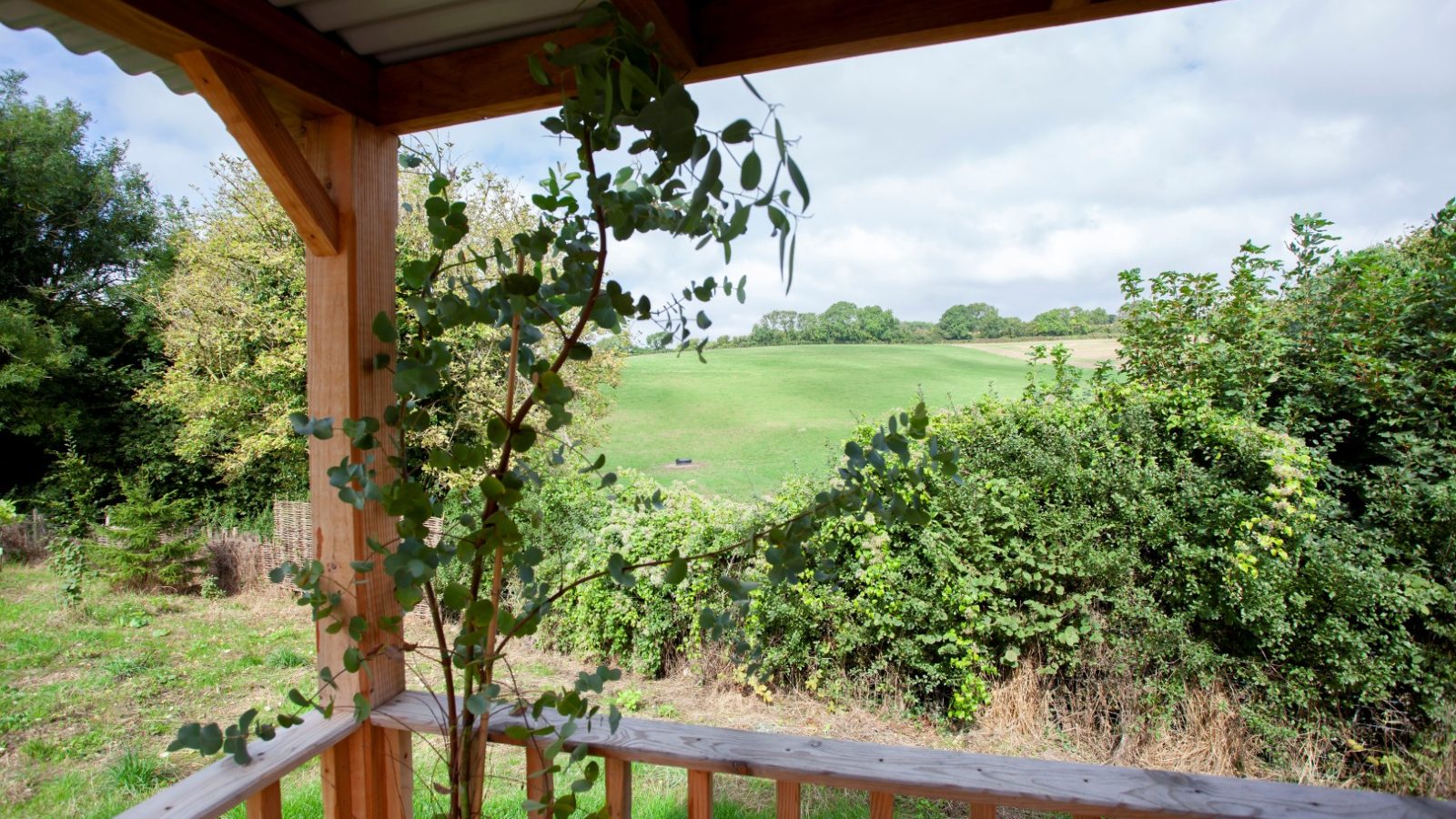 View from a Tokenhill Dorset porch overlooking a lush field with trees under a partly cloudy sky and leafy plants in the foreground.