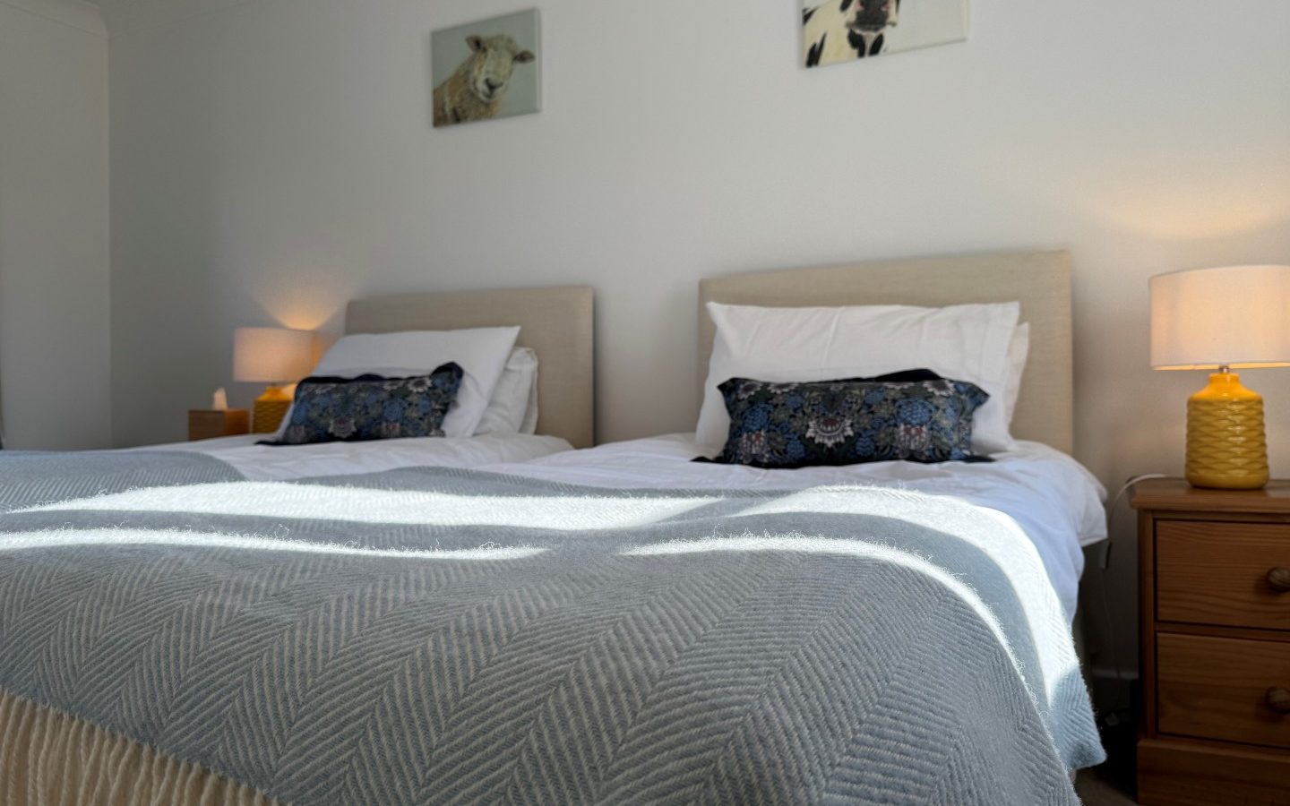 Bedroom in Tokenhill Dorset with two single beds, plaid blanket, decorative pillows, bedside lamp, and cow-themed wall art.