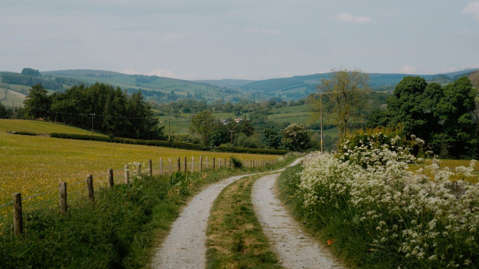 A narrow gravel road leads to Y Caban at CampUs, meandering through green fields, trees, and hills under a cloudy sky.