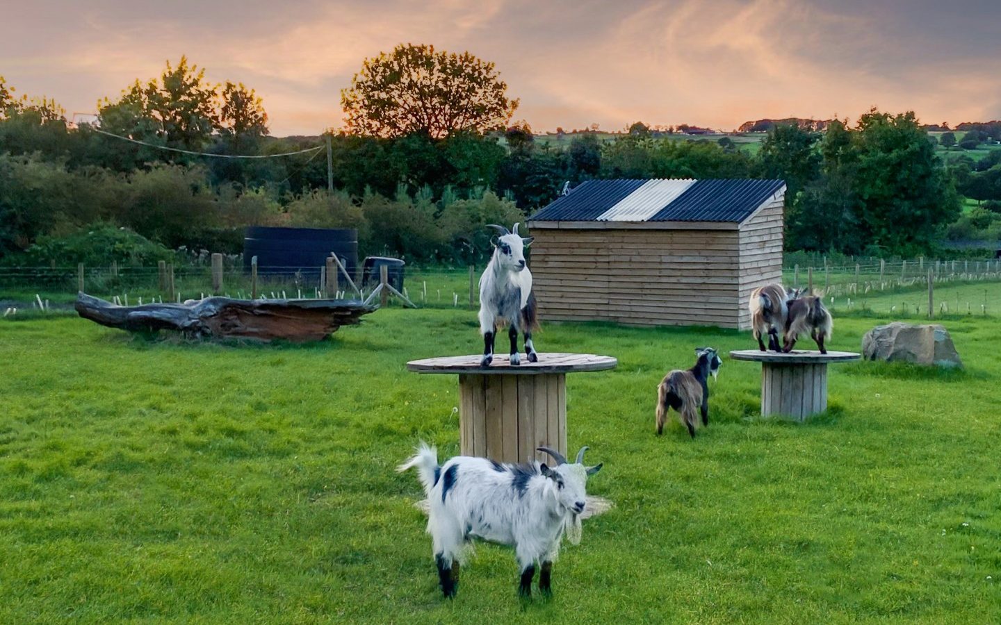 Windmill Retreats